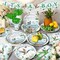 170pcs Mallard Duck Baby Shower Decoration Serves 24 Guests (Mallard Duck)